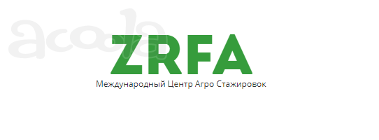 Стажировка студентов в США